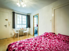 Nice and fonctional Studio in City Center